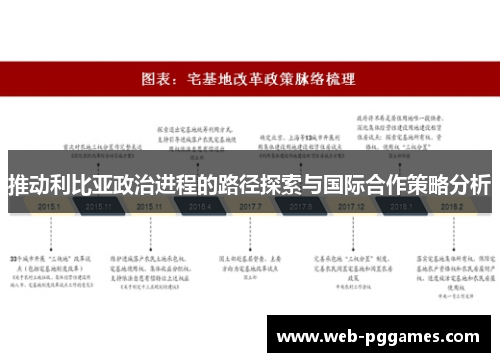推动利比亚政治进程的路径探索与国际合作策略分析